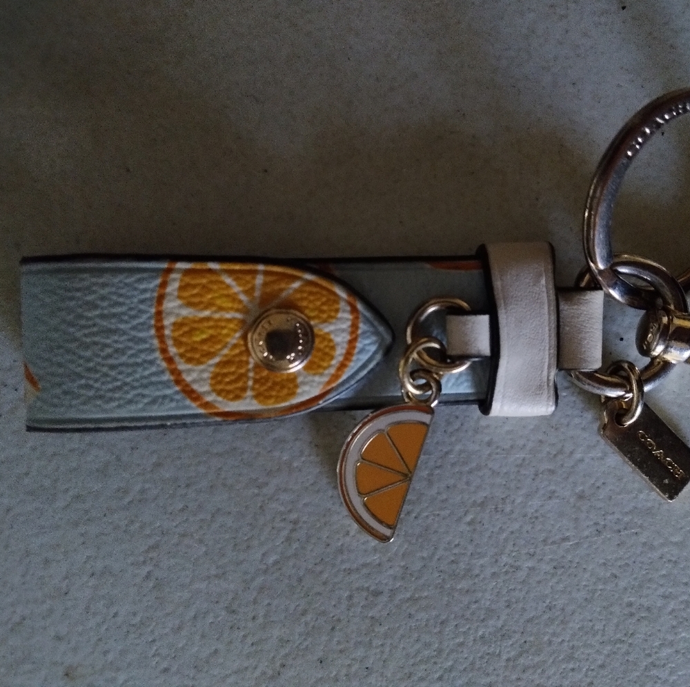 NWOT Coach Key Fob
